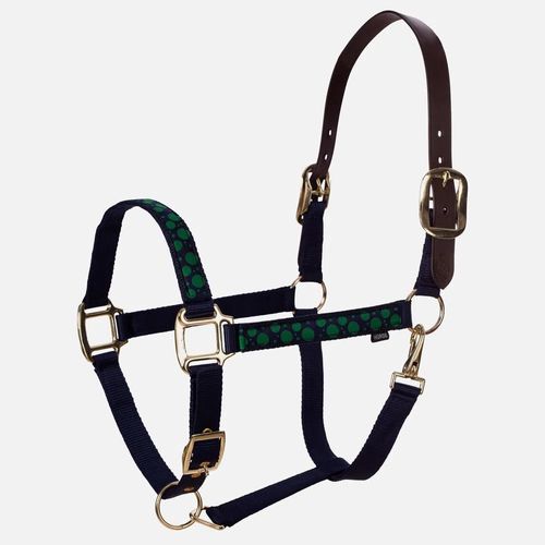 Equinavia Pegasus Ribbon Breakaway Halter - Blue/Geen Polka Dots