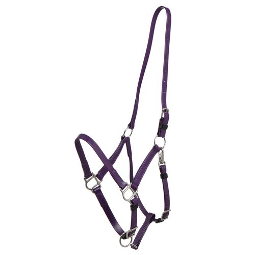 Zilco Deluxe Endurance Bridle/Halter Cavesson Only - Purple