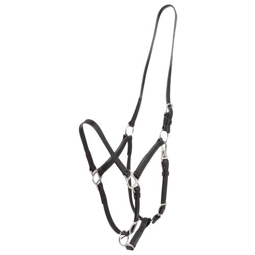 Zilco Deluxe Endurance Bridle/Halter Cavesson Only - Black