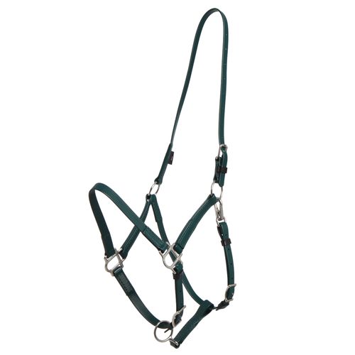 Zilco Deluxe Endurance Bridle/Halter Cavesson Only - Hunter Green