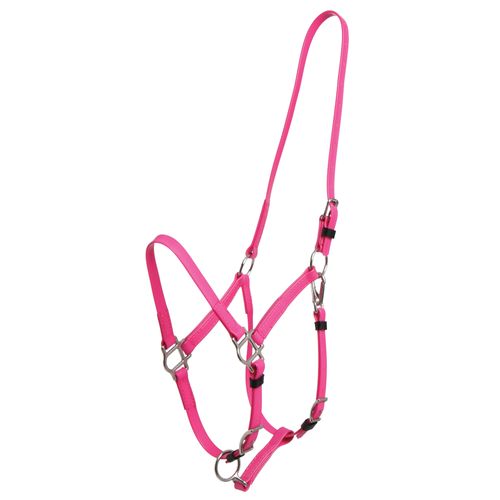 Zilco Deluxe Endurance Bridle/Halter Cavesson Only - Pink