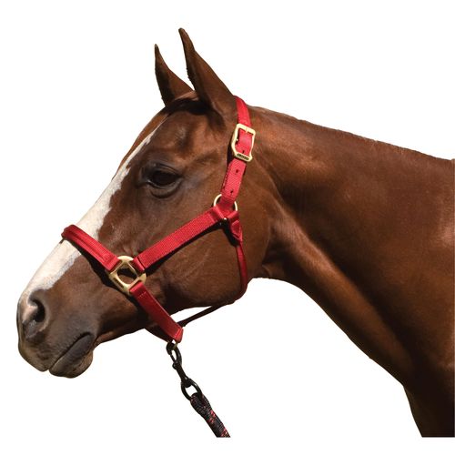 Blocker Halter w/Cable Reinforced Crown and Nose - Red