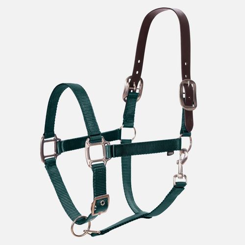 Equinavia Loki  Breakaway Halter - Hunter Green