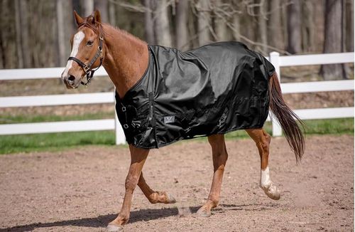 TuffRider 600 D Comfy Winter Standard Neck Turnout Sheet 0g - Black