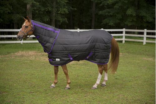TuffRider Kozy Komfort Combo Stable Blanket - Black