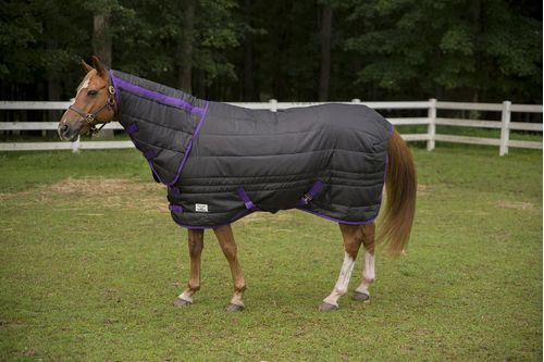 lightweight stable blanket