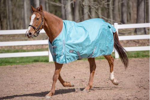 TuffRider 600 D Comfy Winter Standard Neck Turnout Sheet 0g - Turquoise