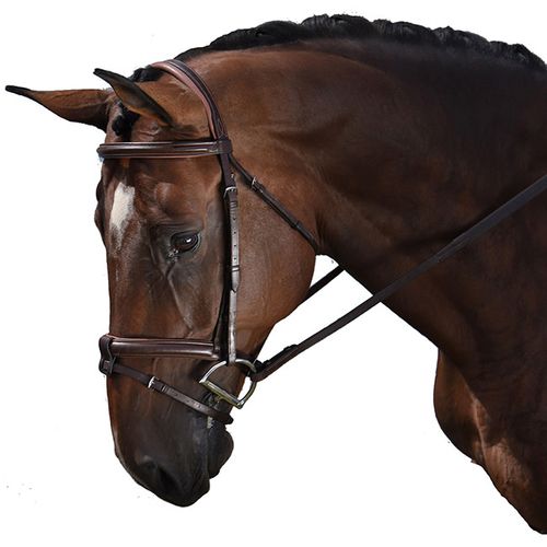 M. Toulouse Amelie Eventing Bridle - Chocolate/Cognac Padding