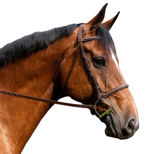 Flex Rider Plain Raised Snaffle Bridle - Cognac
