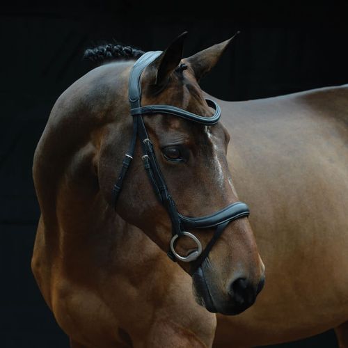 Collegiate Comfitec Vogue Anatomical Bridle - Black