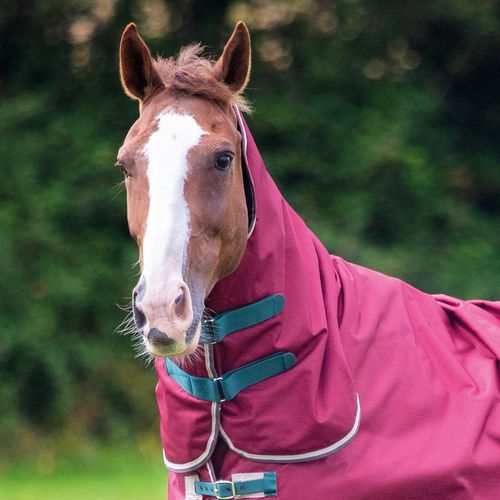 Shires Tempest Original 200 Neck Cover - Maroon