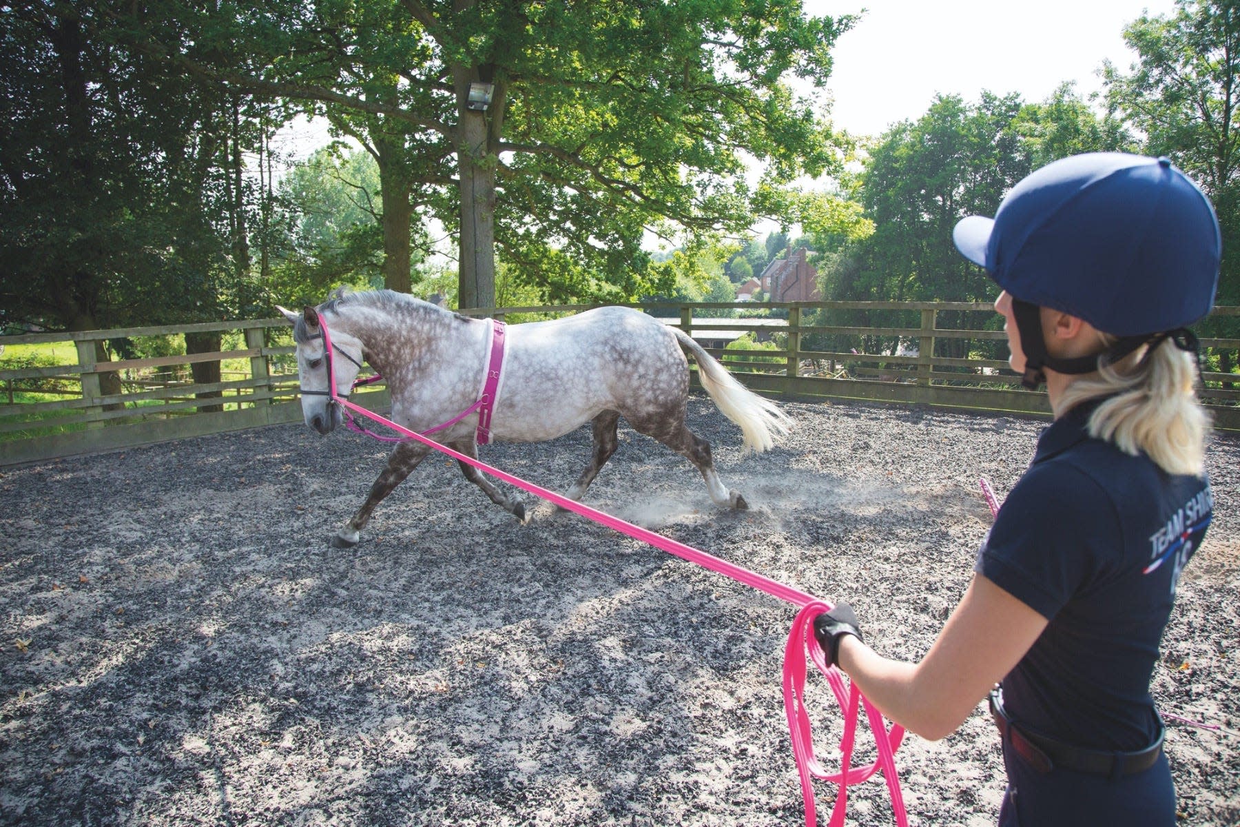 Shires Soft Feel 26ft Lunge Line Pink Shires4231PINK