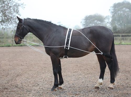 Shires Lunging Aid - Black