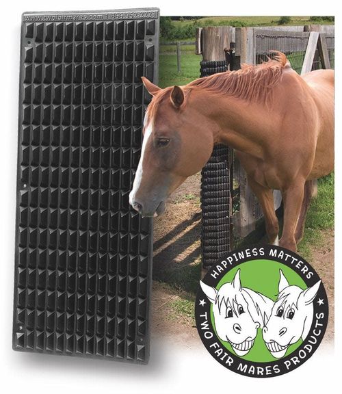 Shires Equine Scratcher - Black