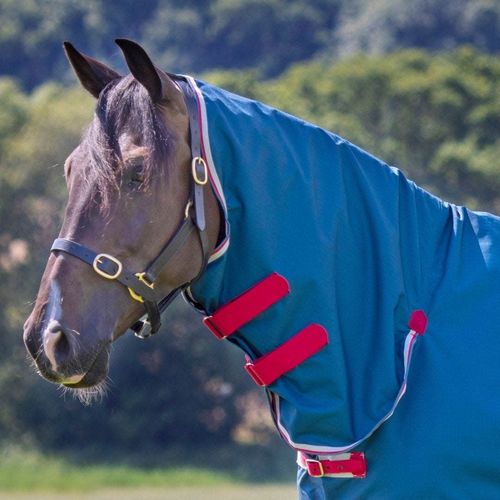 Shires Tempest Original Lite Neck Cover - Teal