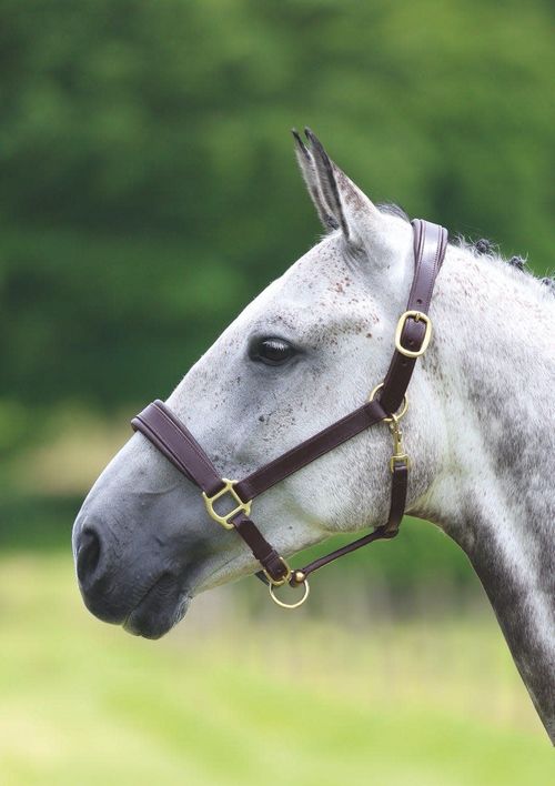 Blenheim Leather Travel Headcollar - Havana