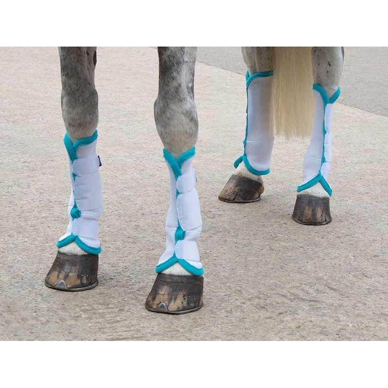 Equestrian Horse Airflow Turnout Socks Teal Cob