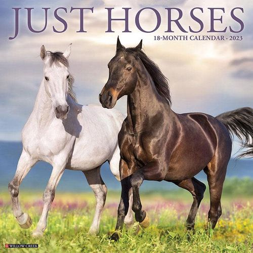 Just Horses 2023 18 Month Calendar