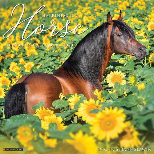 Happiness is a Horse 2023 18 Month Calendar