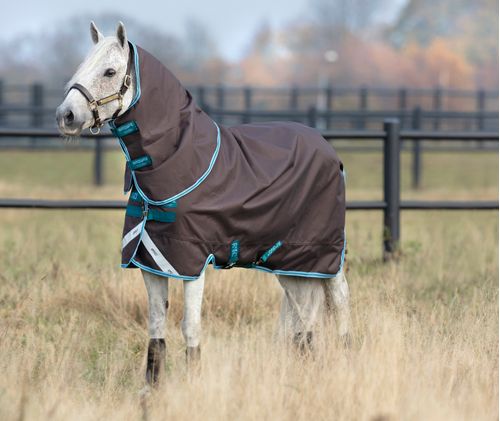 Amigo Bravo 12 Pony Plus Turnout 0g - Excalibur/Aqua/Turquoise