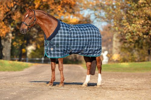 Rhino Original Stable Blanket 450g - Navy Check/Teal