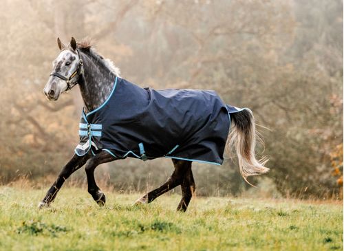 Amigo Bravo 12 Turnout w/Leg Arches 100g - Navy/Turquoise/Aqua/Blue