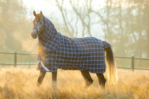Rhino Plus Turnout Lite - Navy Check/Indigo