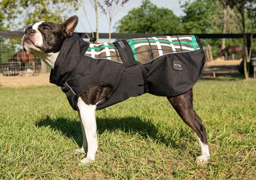 FITS Dog Coat - Ash Teal Plaid