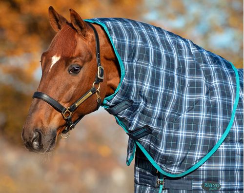 Rhino Stable Hood 150g - Navy Check/Teal