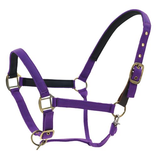 Centaur Super Comfort Halter - Purple