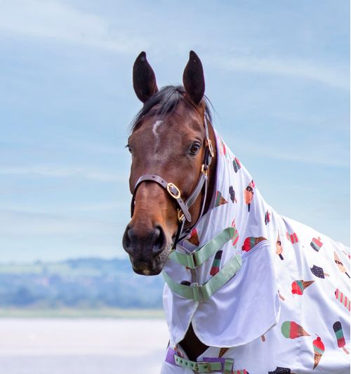 Shires Tempest Fly Sheet Neck Cover - Ice Cream