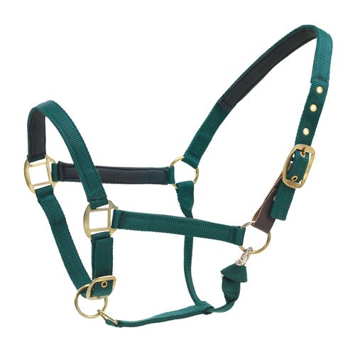 Centaur Super Comfort Halter - Green