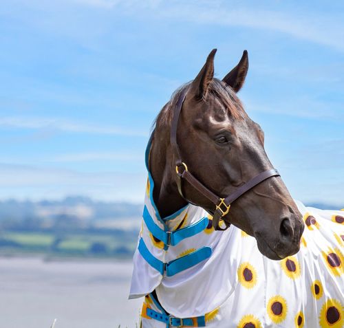 Shires Tempest Fly Sheet Neck Cover - Sunflower