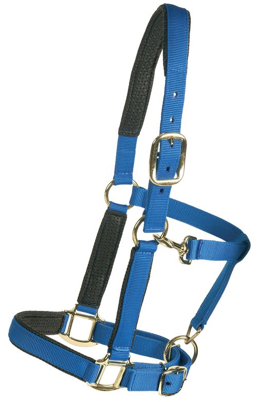Centaur Super Comfort Halter - Blue