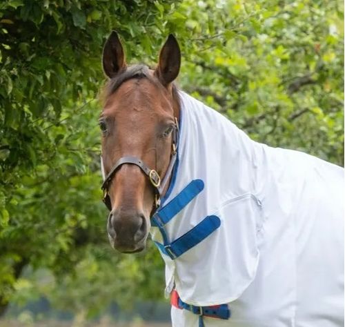 Shires Tempest Fly Sheet Neck Cover - White