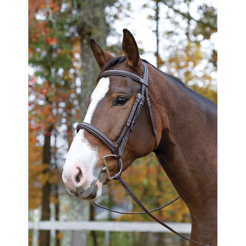 Shires Avignon Ocala Bridle - Thumbnail 4