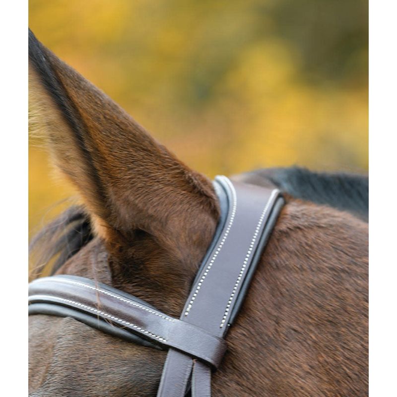 Shires Avignon Ocala Bridle - Thumbnail 3