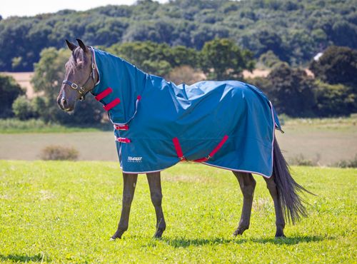 Shires Tempest Original Lite Combo - Teal