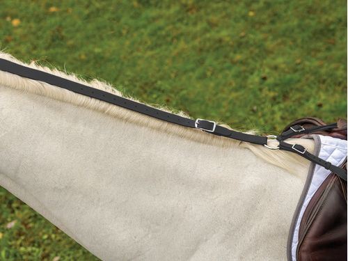 Shires Avignon Daisy Rein - Black