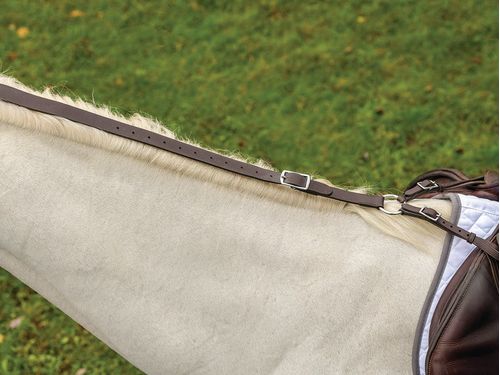 Shires Avignon Daisy Rein - Havana