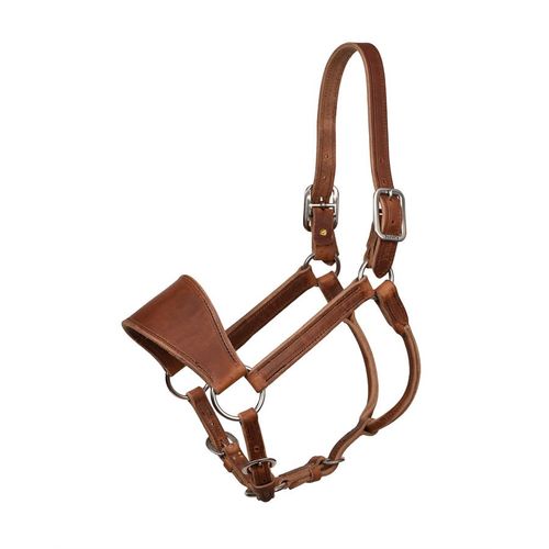 Perri's Leather Ranch Halter - Brown