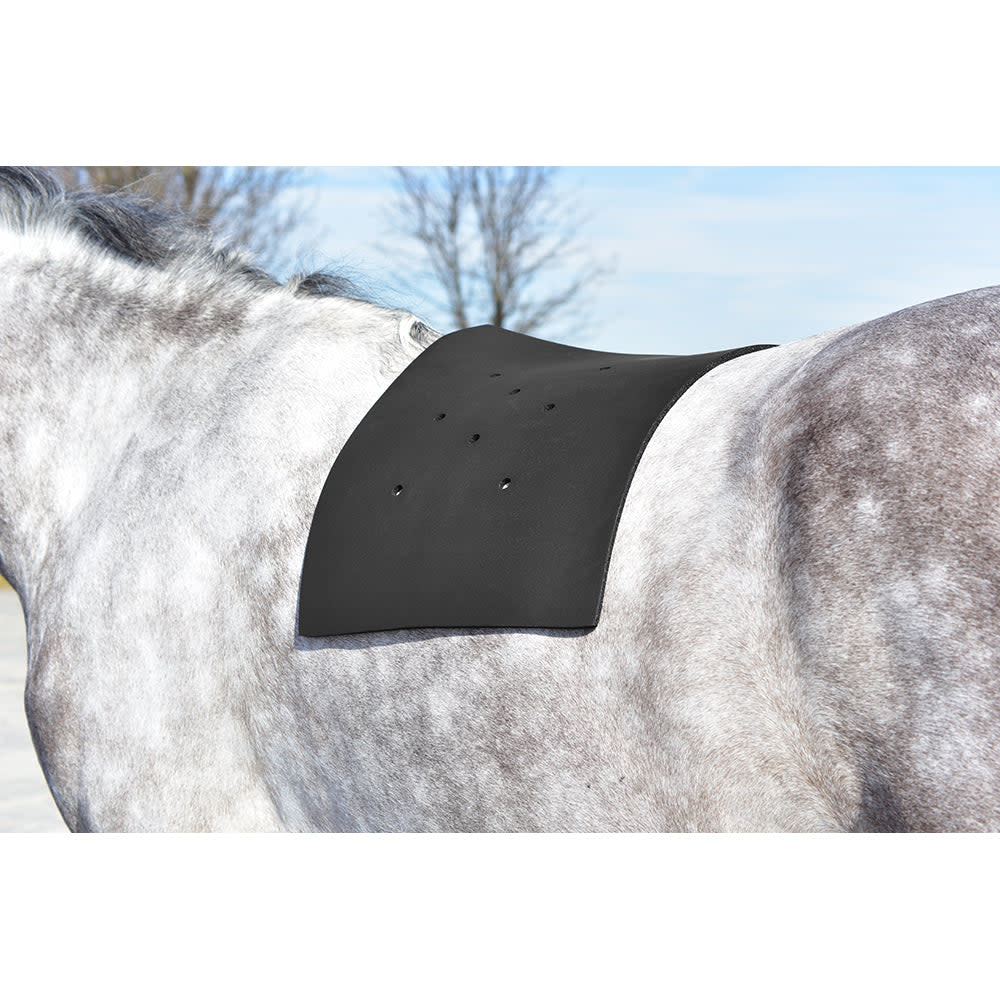 Flex Rider Neoprene Thin Saddle Pad Liner Black Flex Rider4010Black Bit of Britain