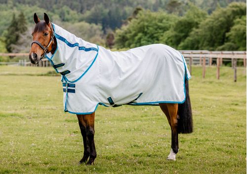 Amigo Aussie All Rounder - Navy Check/Electric Blue/Navy