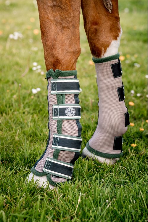 Horseware Flyboots - Oatmeal/Sage/Beige/Green