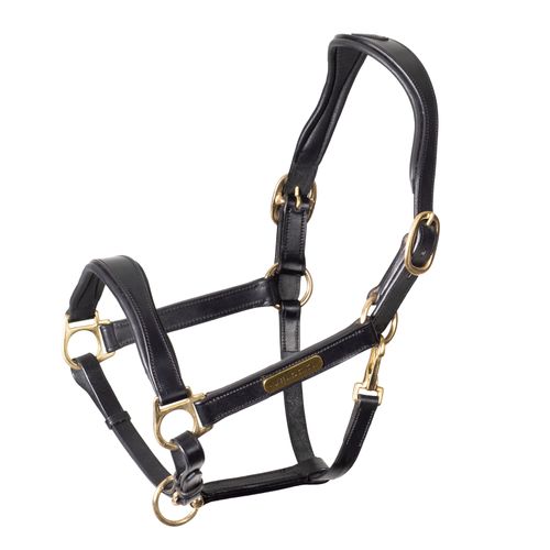 Shires Velociti Rapida Cushioned Leather Headcollar - Black
