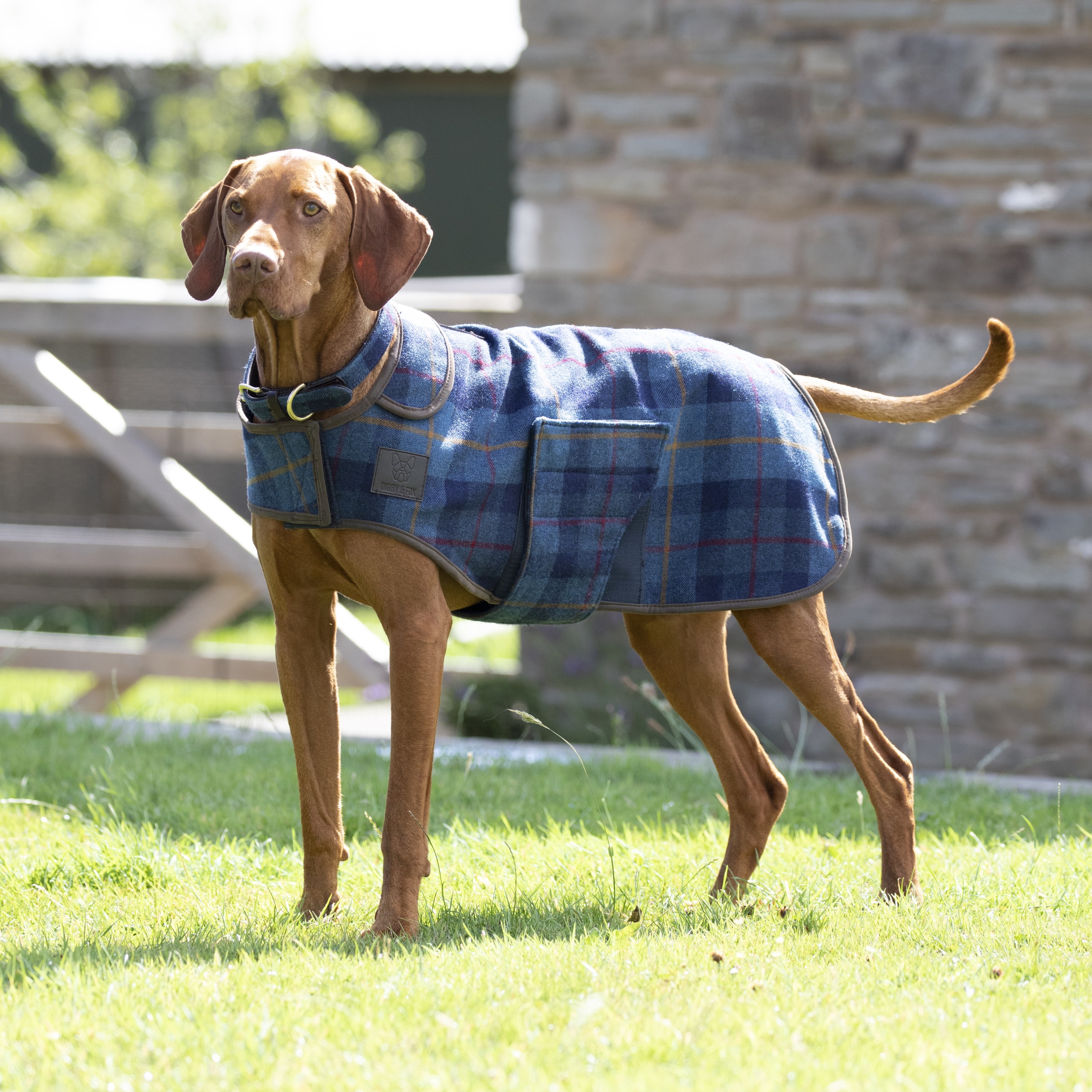 Tweed dog clearance jacket