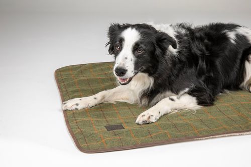 Digby & Fox Tweed Dog Blanket - Red/Yellow/Blue