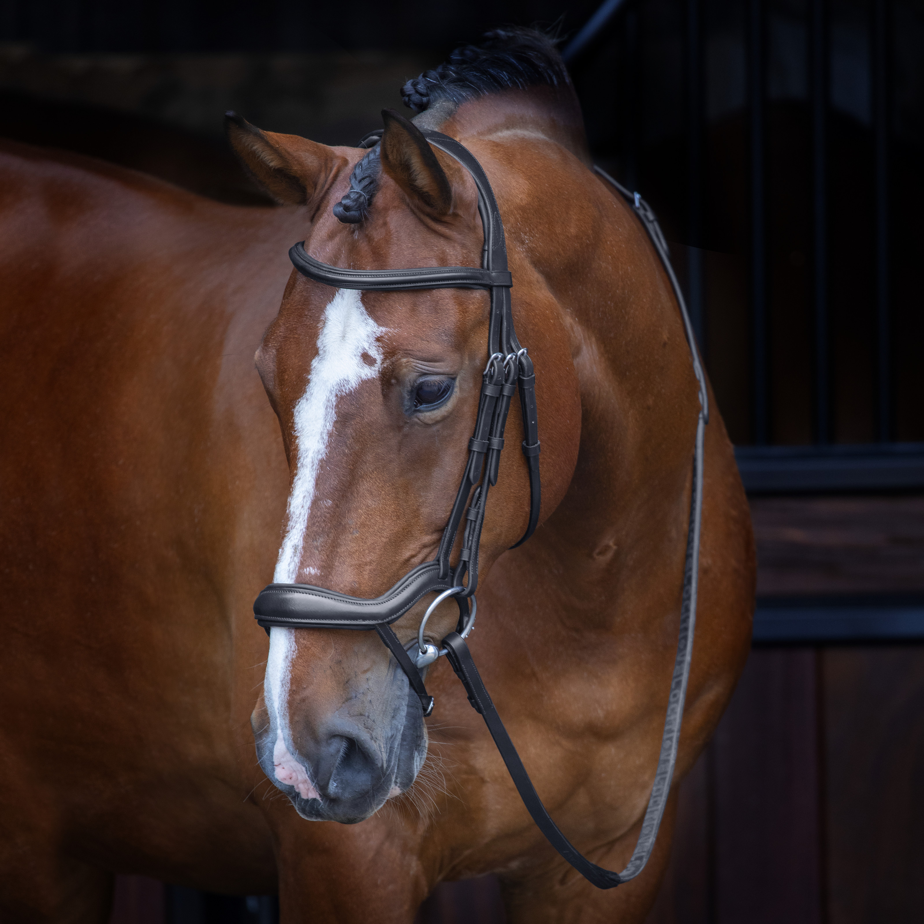 Shires Velociti Rapida Ergonomic Flash Bridle - Black