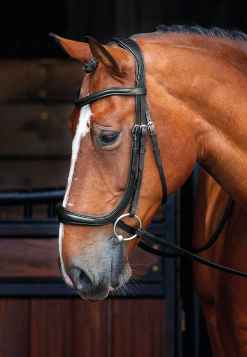 Shires Velociti Rapida Ergonomic Curved Cheek Bridle - Black