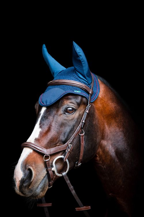 OUTLET: Rambo Ear Net - Cob/Horse - Navy/Burgundy